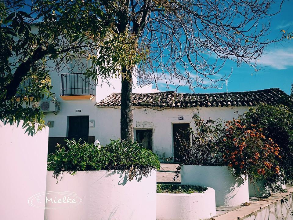 La Carrihuela ξενώνας Algodonales Εξωτερικό φωτογραφία
