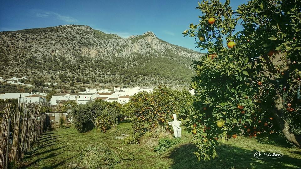 La Carrihuela ξενώνας Algodonales Εξωτερικό φωτογραφία