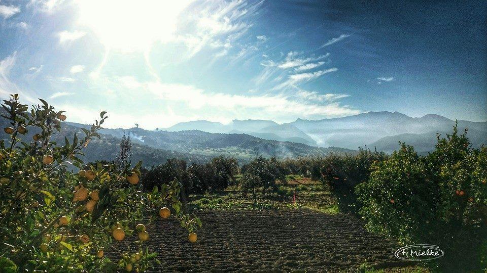 La Carrihuela ξενώνας Algodonales Εξωτερικό φωτογραφία